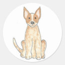 Recherche de heller autocollants Chien australien de bétail