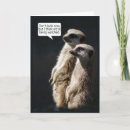 Zoek naar humorous briefkaarten Happy