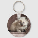 Recherche de pelucheux porteclés Mignon