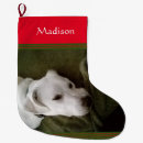 Recherche de labrador de noël chaussette de noël Chiot