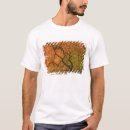 Recherche de site historique national Arbre