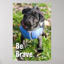 Recherche de regard posters Carlin