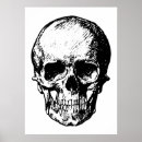 Recherche de dessin pirate posters Illustration