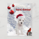 Recherche de noël westie cartes postales Mignon