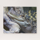 Recherche de crocodile puzzles Animal sauvage