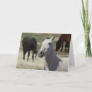Recherche de petit poney vœux cartes Pour tous