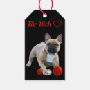 Recherche de bulldoggue Chiot