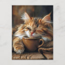 Recherche de café de matin cartes postales Amoureux du café