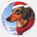 Recherche de chien de père noël autocollants Dachshund