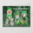 Recherche de leprechaun posters Chaton
