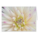 Zoek naar diepte briefkaarten Natuur