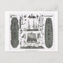 Recherche de gravure vintage cartes postales Historique