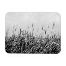 Zoek naar duinen magneten Landschap