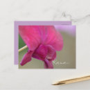 Recherche de orchidées roses cartes postales Fleur
