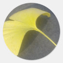 Recherche de feuille ginkgo autocollants Biloba