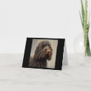 Recherche de furieux vœux cartes Animal