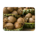 Recherche de polynesie magnets Tropical