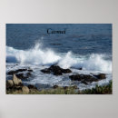 Zoek naar surfs posters Stille oceaan
