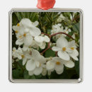 Recherche de tropical ornements Pour tous