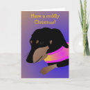 Recherche de teckels Pour animaux