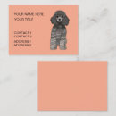 Recherche de caniches cartes visite Pour elle