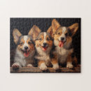 Recherche de pembroke welsh corgi puzzles Animal