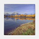 Recherche de miroir magnets Montagne