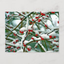 Zoek naar wintertijd briefkaarten Bomen