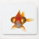 Recherche de grands yeux tapis souris Animal