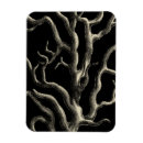 Recherche de sepia magnets Littoral