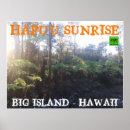 Recherche de sleeves posters Hawaii