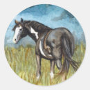 Zoek naar zwarte witte paarden stickers Hengst