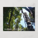 Recherche de auckland cartes postales Kiwi