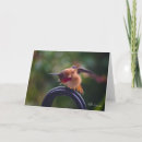 Recherche de les rotations vœux cartes Photographie