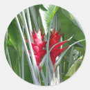 Recherche de feuillu autocollants Floral