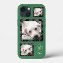 Recherche de shamrock du dj Chien