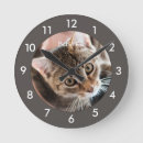 Zoek naar cute cat klokken Kitten