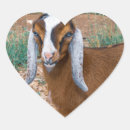 Recherche de yeux fermés autocollants Animal