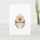 Zoek naar dieren notitiekaarten Lief