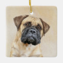 Zoek naar bullmastiff ornamenten Huisdier