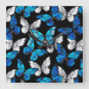 Recherche de mite horloges Insectes