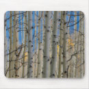 Recherche de montagne rocheuse tapis souris Chute