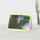 Recherche de multi région vœux cartes Photographie