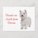 Recherche de westies cartes postales Chien