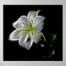 Recherche de digit posters Nature