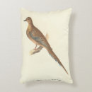 Recherche de pigeons coussins Illustration
