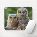 Recherche de bébé hibou tapis souris Oiseau