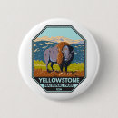 Recherche de bison de badges Parc national de yellowstone