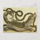 Recherche de maria sibylla merian posters Reptiles