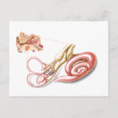 Recherche de corps humain cartes postales Structure